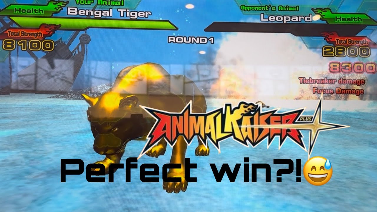 *БЕНГАЛЬСКИЙ ТИГР ЗОЛОТО РАЗБИТ В ОБЫЧНОМ РЕЖИМЕ!!!* Animal Kaiser Plus 2024!!!