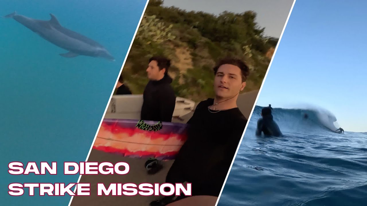 WE SURFED WITH DOLPHINS IN SAN DIEGO! | POV BLACKS SURF