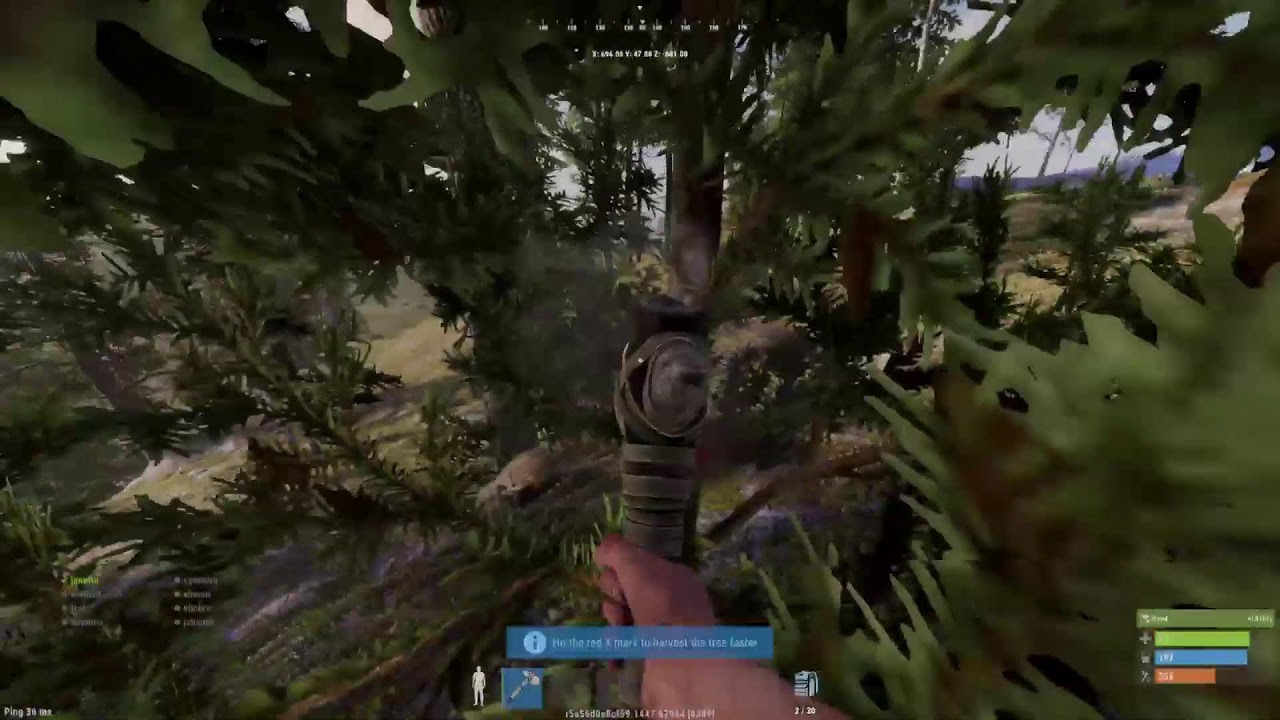 Rust on PS5!