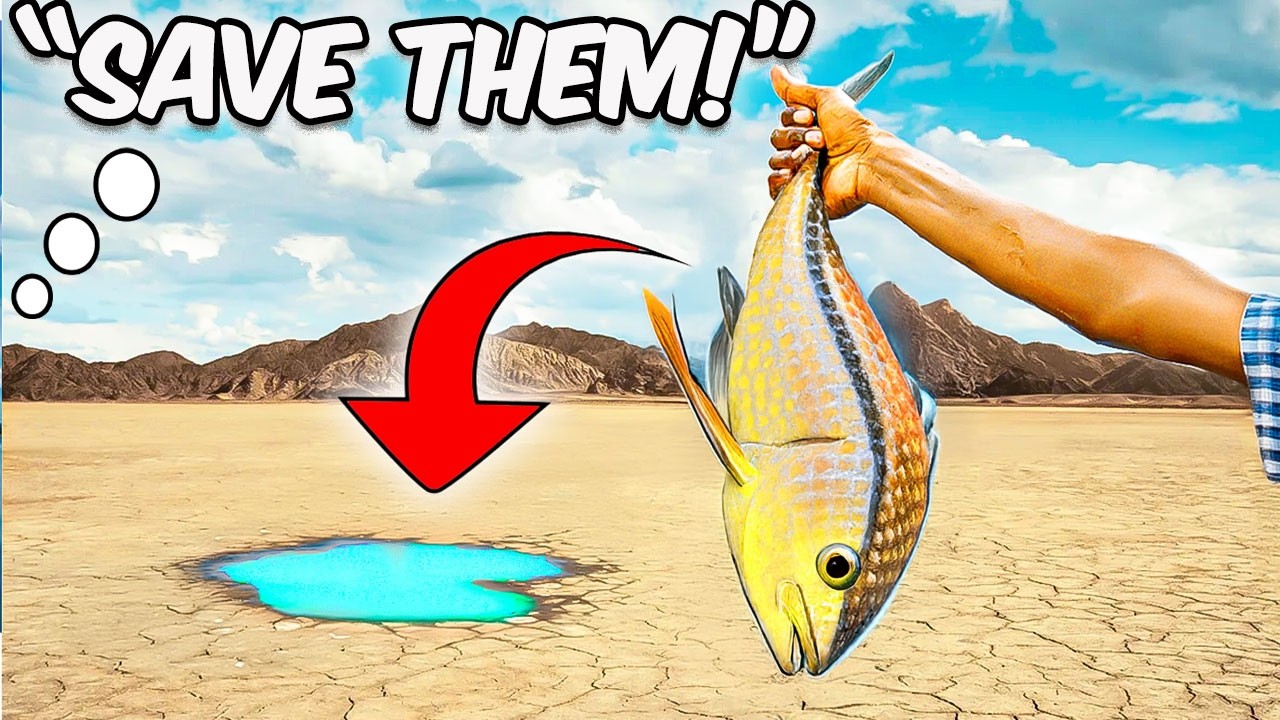 I Rescued These Fish and ( Other Creatures! )