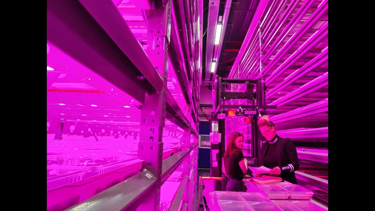 Productie of Operationeelmanager gezocht - Vitro Plus I Rachel Ebbers-Bakker