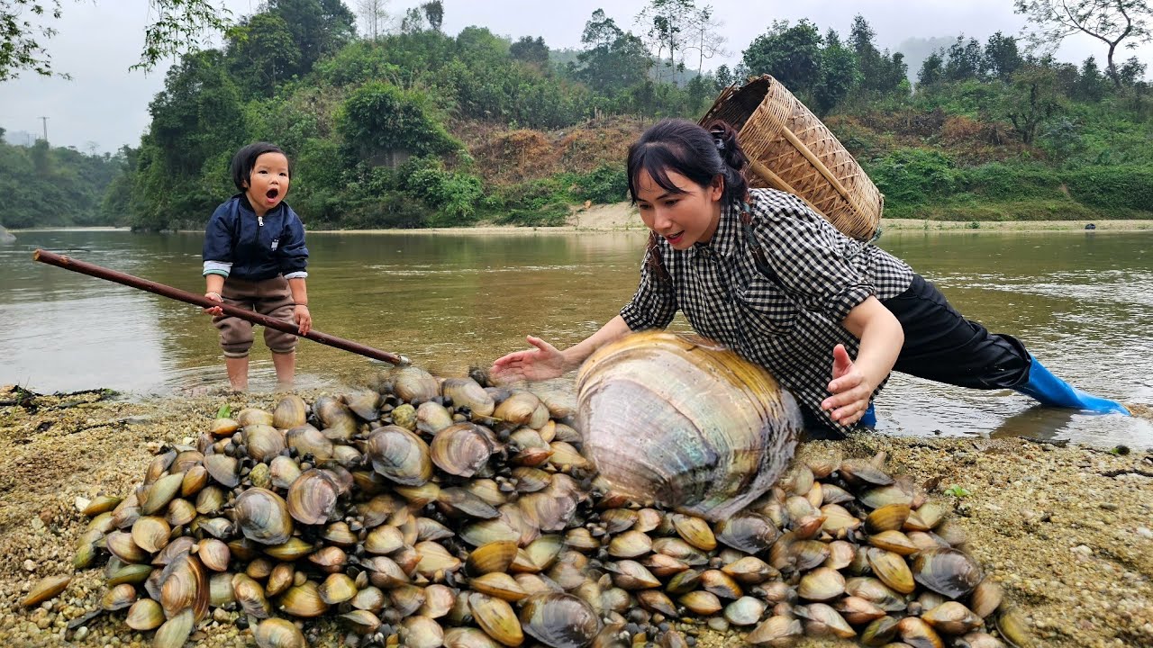 How to catch Clams and Mussels from the river, Gift from nature - Cooking | Peaceful and Simple life