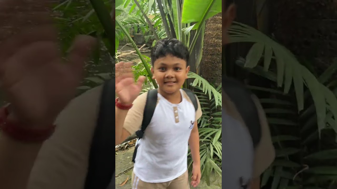 Avilon Zoo Adventure 