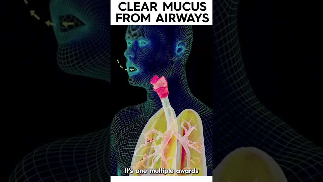 Clear Mucus From airways 