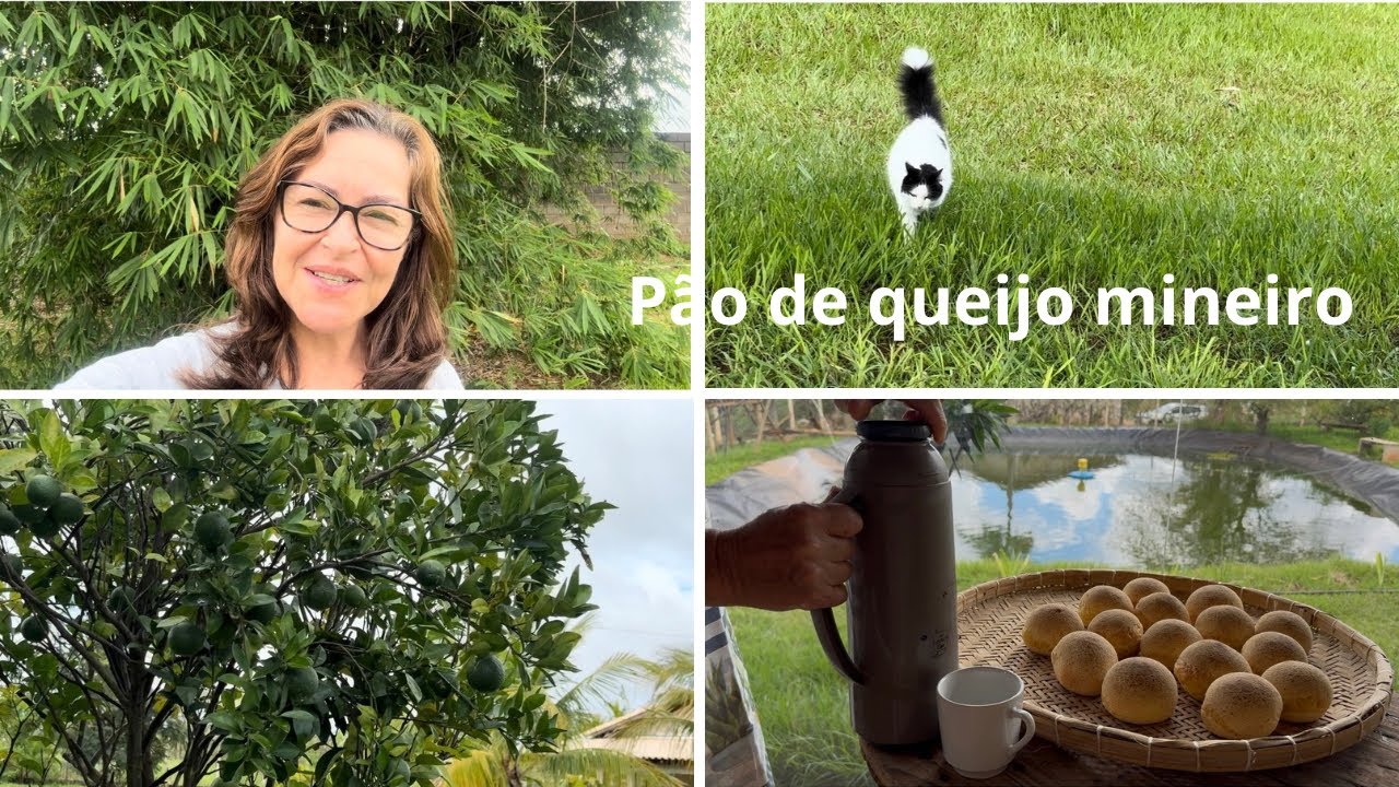Rotina da roça, pão de queijo mineiro 🥯 e faxina da casa 🏠 