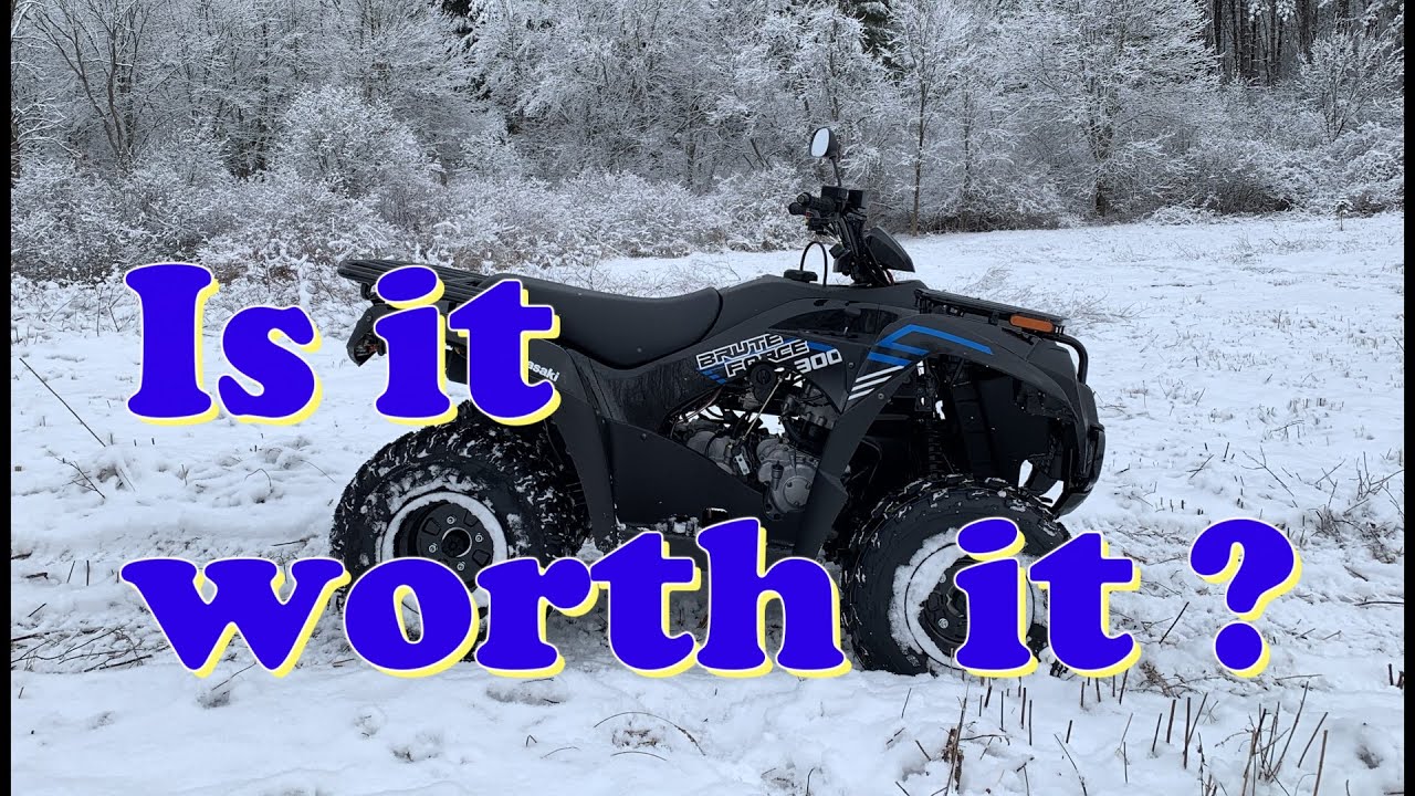 🚩❄Brute Force 300 | 1 Year Ownership Review