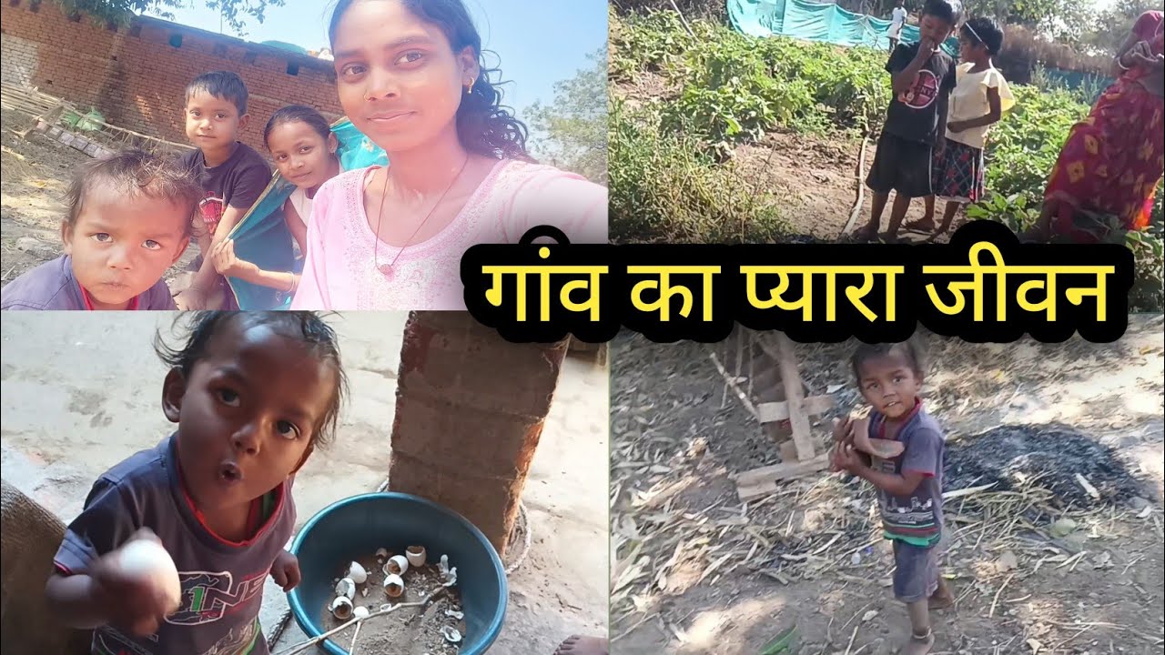  मुर्गी ने बच्चा दे दिया गांव का जीवन || The hen gave birth to chicks || village daily life vlog||
