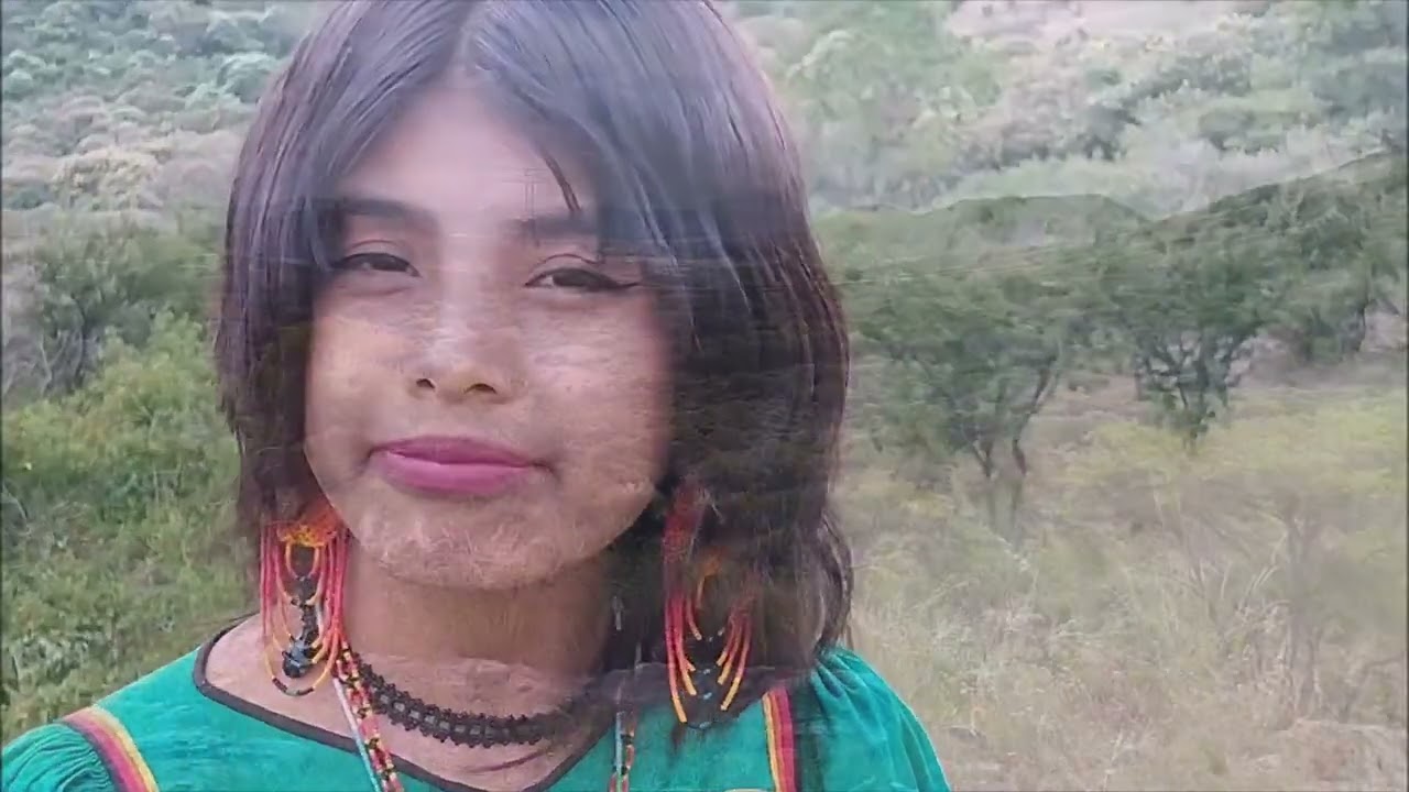 Aquí Estoy | Auténticos Wixárika Grupo Musical | Video Oficial | 2022