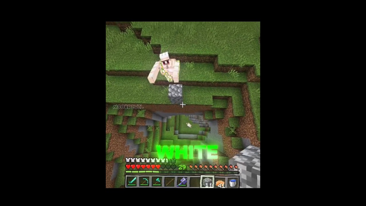 Minecraft Ransom Edit 🥴🥵