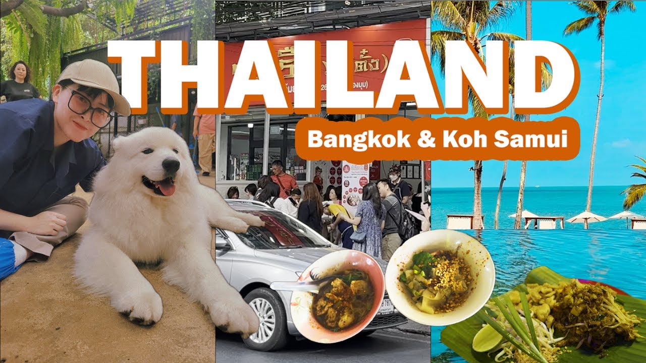 Thailand Travel Vlog – 8 hours layover in Tokyo, 7 Days in Bangkok, 3 in Ko Samui!