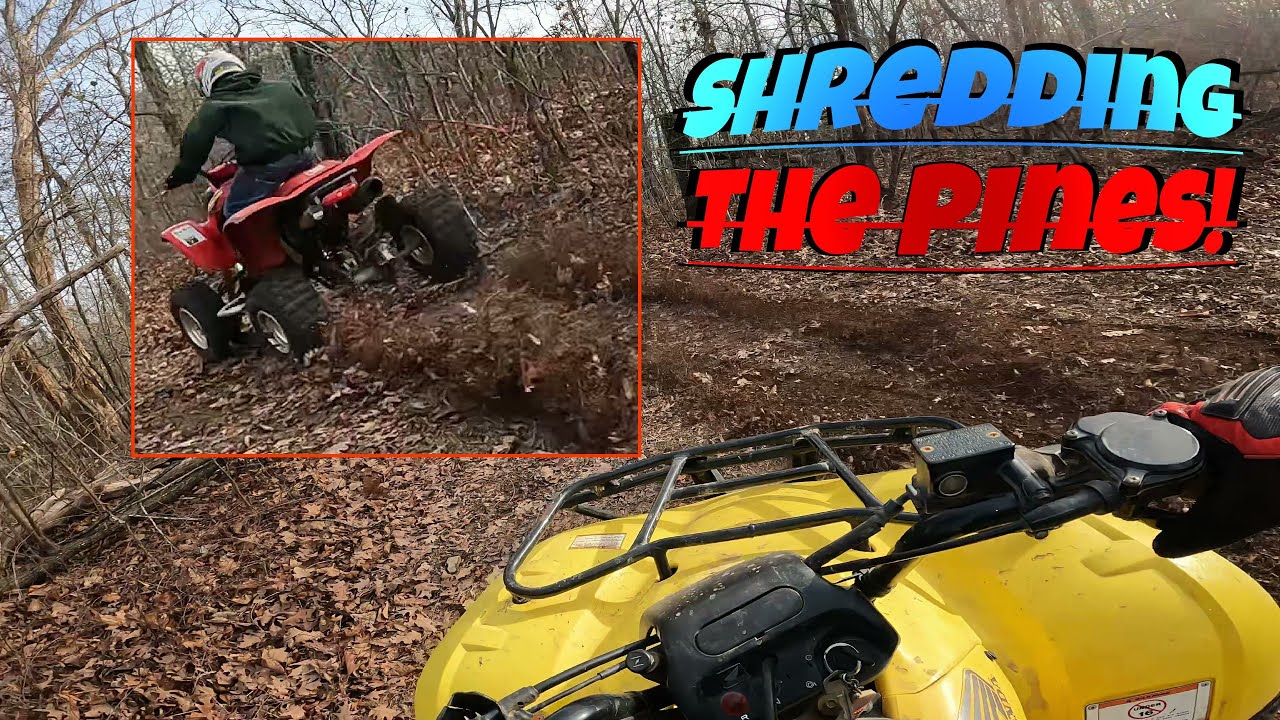 Shredding the Pines! Two ATV Riders Take on the Mountain Trails