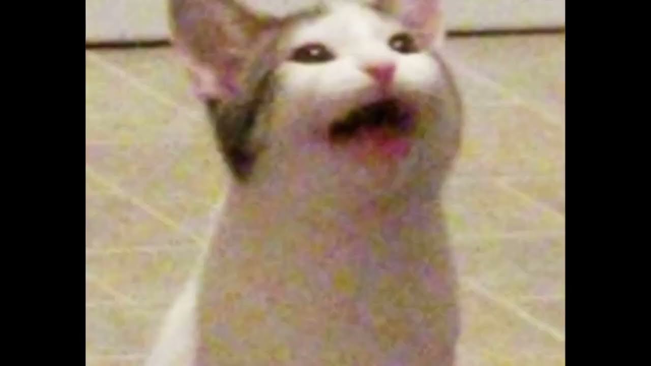 Popcat sings inner universe by ORIGA