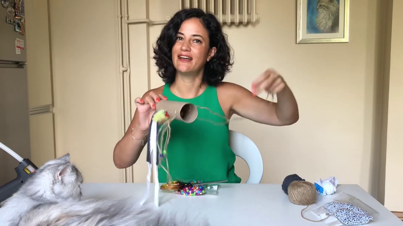 Kağıt havlu rulosundan kedinizin çok seveceği sallangaçlı oyuncak yapımı, DIY