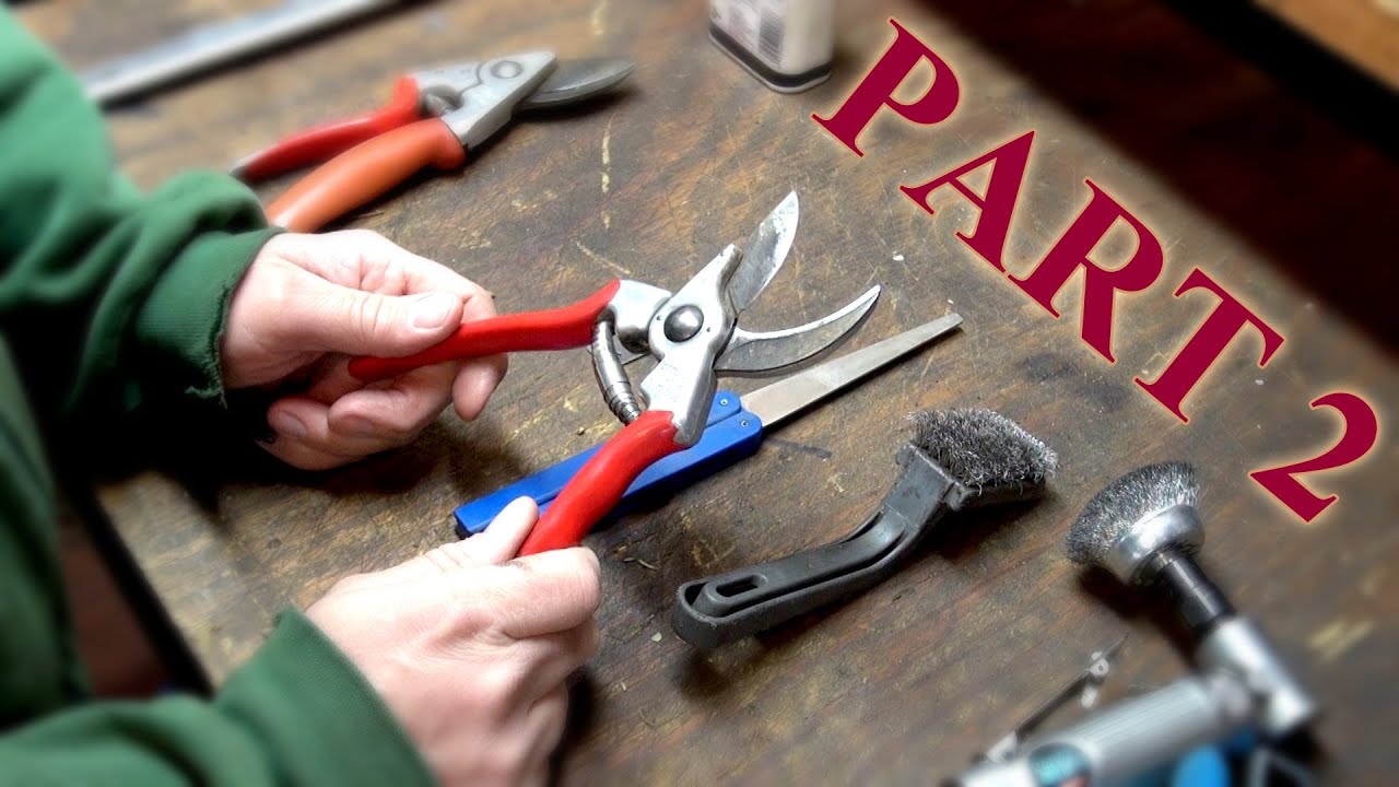 How to Maintain Felco Pruning Shears Part 2: Sharpening