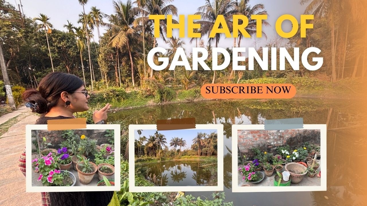 Bengali Garden Vlog | Home Garden Tour January 2026 | Home Garden | Gardening Vlog | Plant Tour