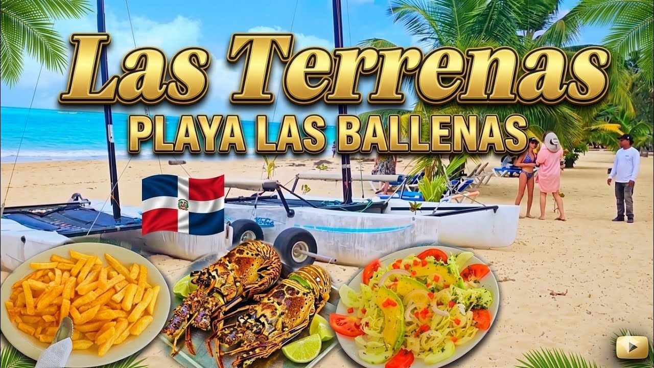 Visitamos Las Terrenas🇩🇴 República Dominicana Dominican Republic beach