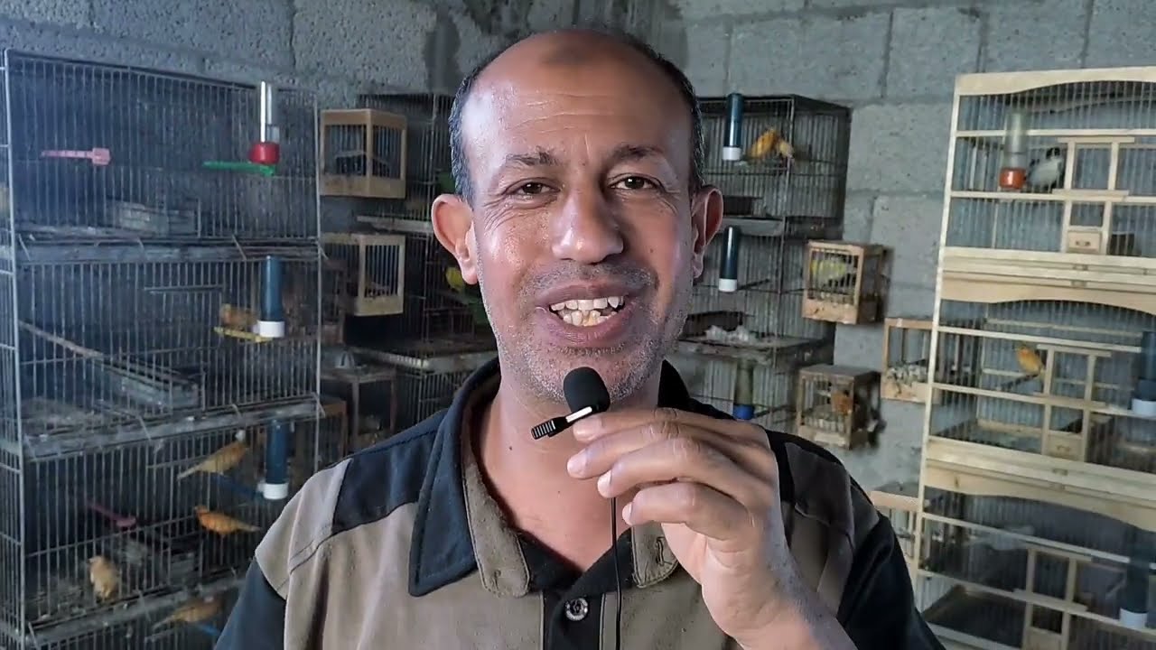 موسم الإنتاج ما بين الاستمرار والتوقف والأضرار #التعامل مع هواء الخماسين الجاف ♥️❤️❤️