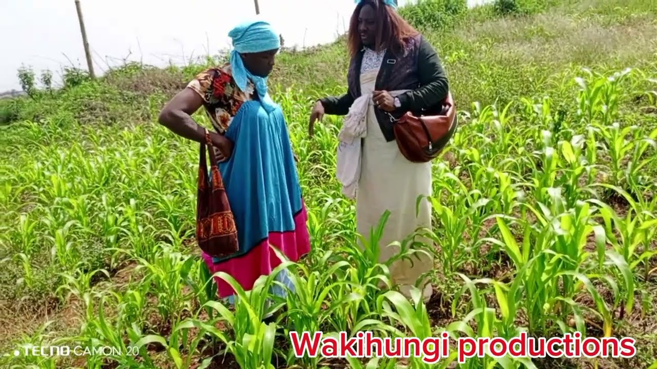 Atumia na Utungata_--Wakihungi Ft Wanyambura PRT 1