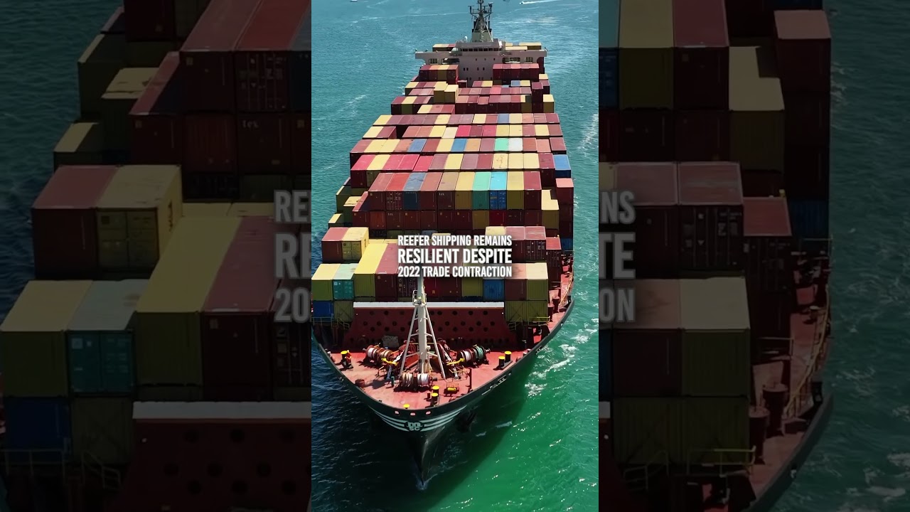 ⚓️ Reefer container freight rates continue to outperform the dry cargo trade, #maritime