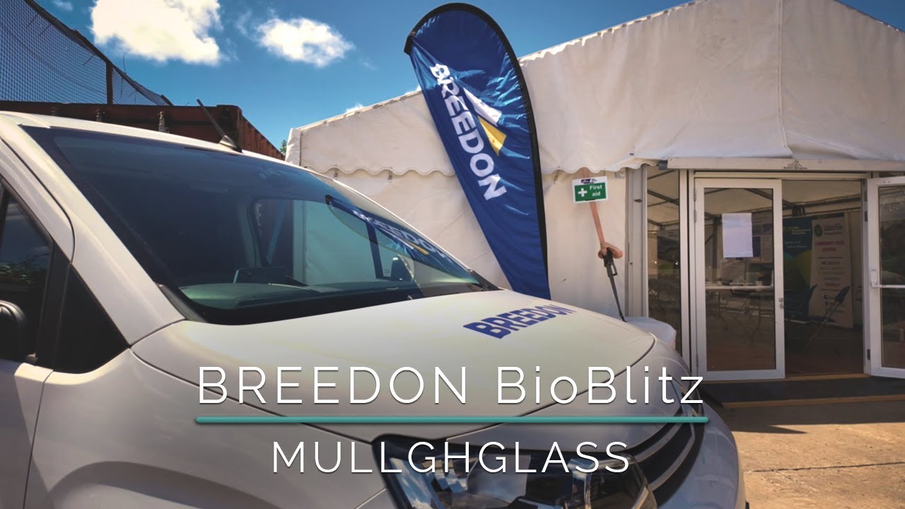 Breedon BioBlitz Event at Mullaghglass 2024