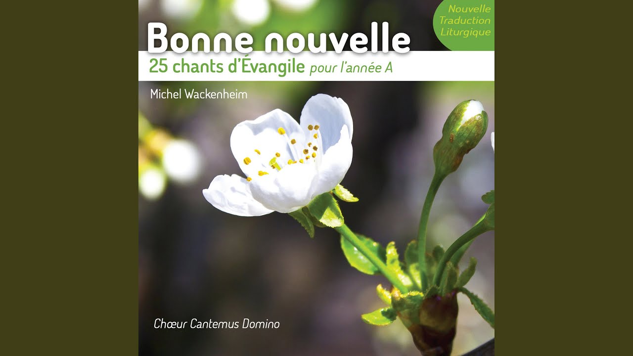 Heureux les pauvres de cœurs (Chant d'Évangile, 4e dimanche du temps ordinaire, année A)