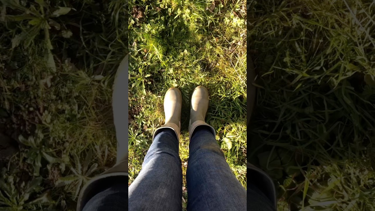 Mini garden clean up & potting bulbs 🌱🌷 