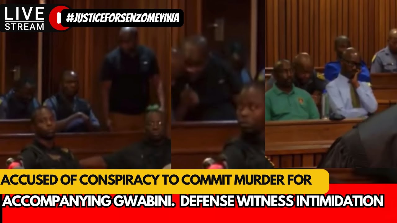 Senzo Meyiwa Murder Trial:calls and engagements session Mnisi promise  at least a witness on monday