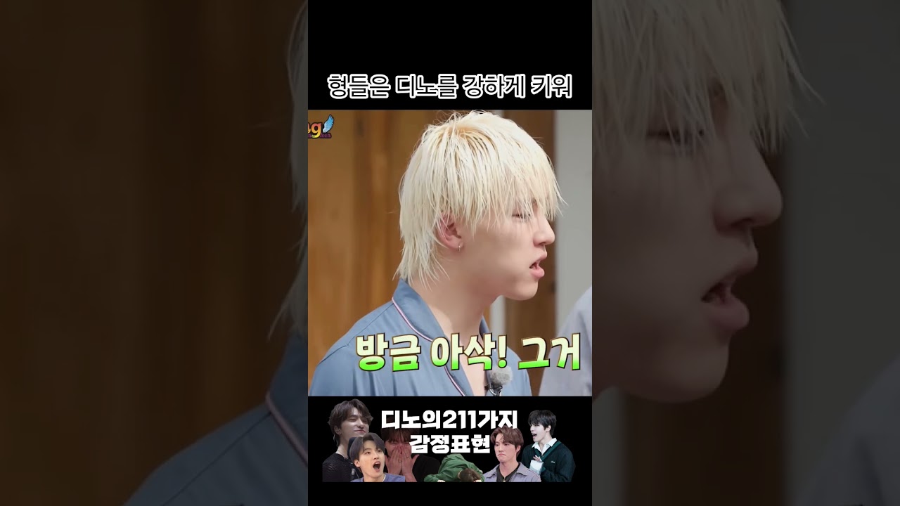[세븐틴/디노] 형들은 디노를 강하게 키워      #seventeen #dino #세븐틴 #디노 #svt