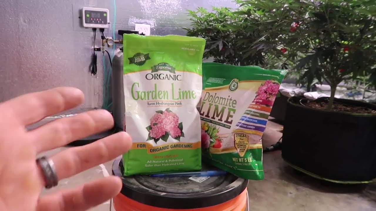 Organic Cal/Mag!!!! Talking about dolomite lime, gypsum and micro nutrients!!!! What are you missing