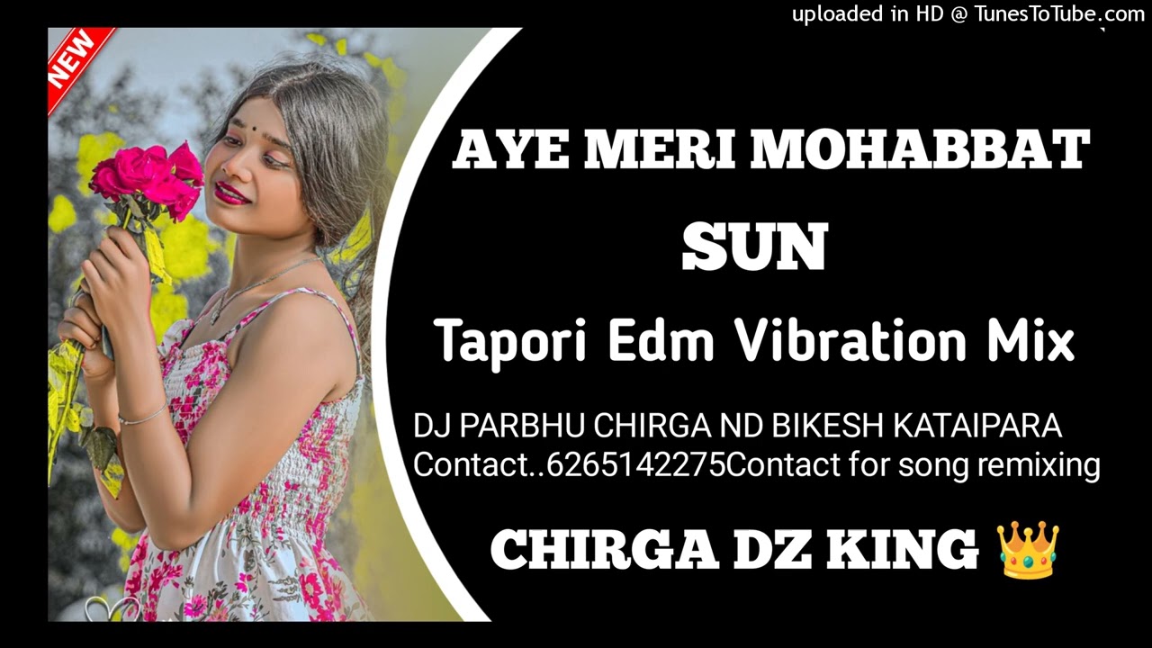 AYE MERI MOHABBAT SUN 🍃BEWAFA VIBRATION EDM MIX 🌿 VIBRATION MIX BEWAFA SONG🌿 DJ PARBHU CHIRGA 🌿