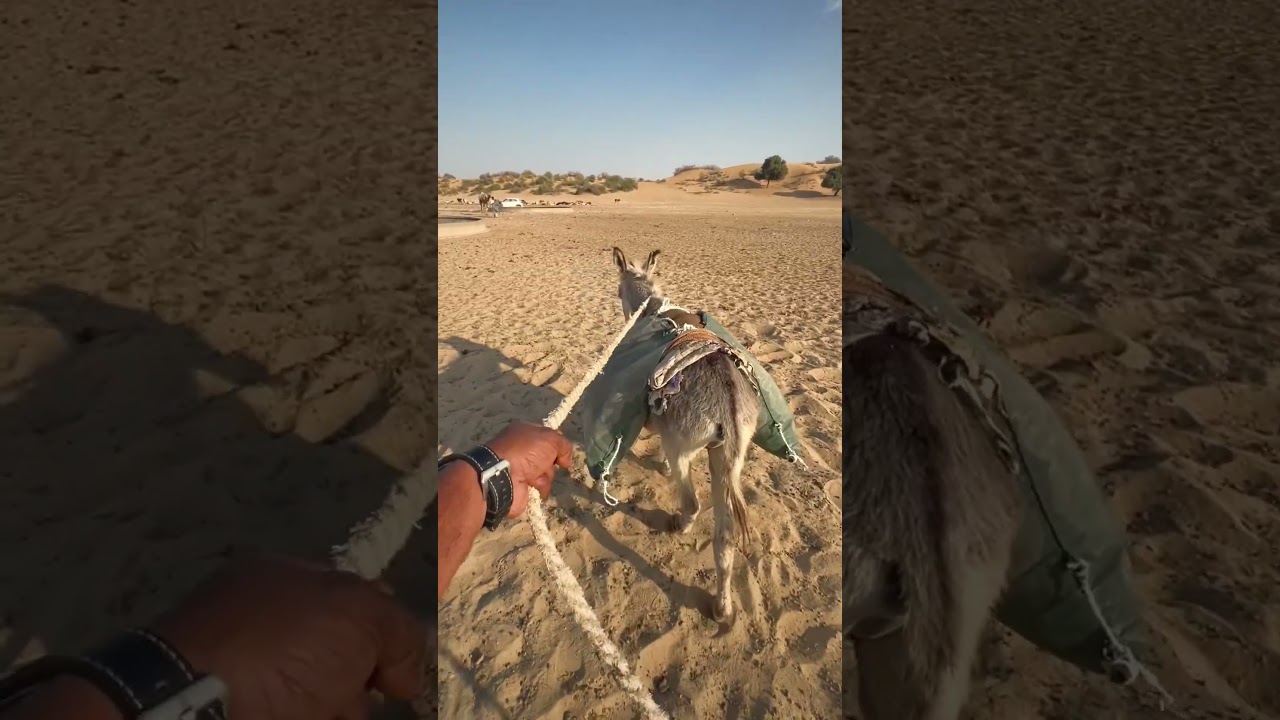 Water crisis in desert Rajsthan || old village | really hard work | #rajsthan
