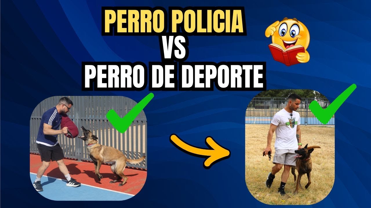 Perro de POLICIA vs PERRO DE DEPORTE - Lo que nadie te cuenta