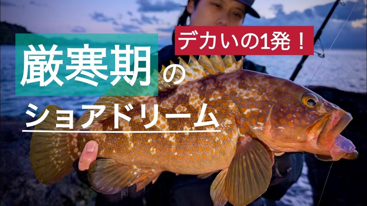 1発狙い！厳寒期のキジハタ！