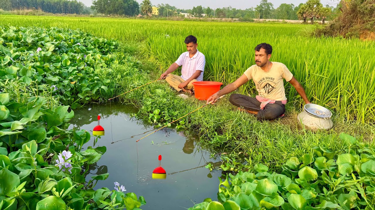 Fishing Video | Traditional village fisherman fishing scene will amaze everyone | Best hook fishing