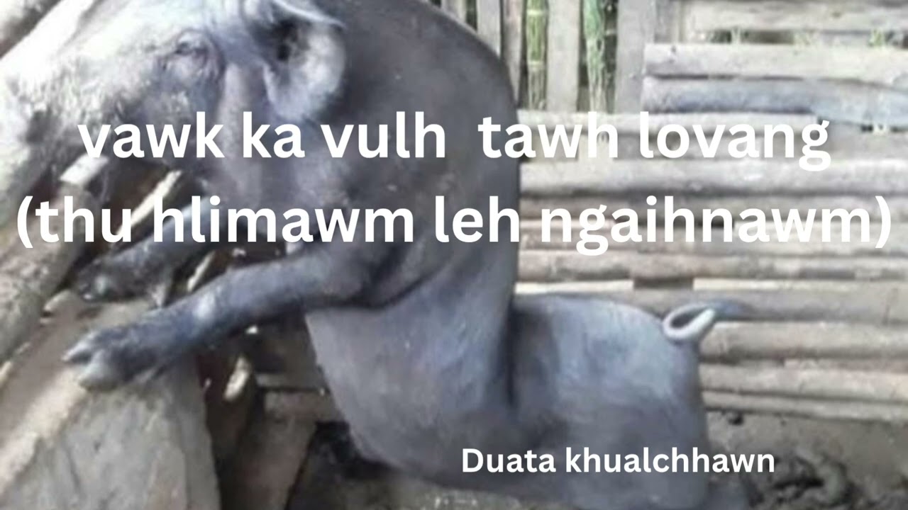 Vawk vulh thu hlimawm leh ngaihnawm