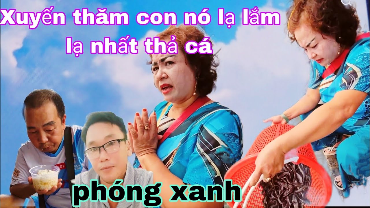 Xuyến thăm con phong cách lạ lắm và phóng xanh thả cá phong cách cao sang 