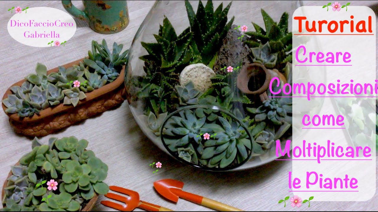 PARTICOLARE CENTROTAVOLA 🔶 COMPOSIZIONE DI PIANTINE 🟢 AMBIENTE VERDE E PRIMAVERILE 🌵 DIY 🌸TUTORIAL