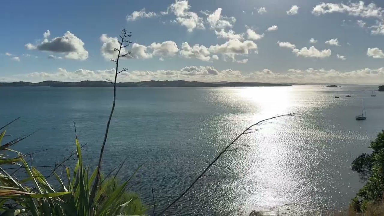 Walking New Zealand (444)_Jan 2026