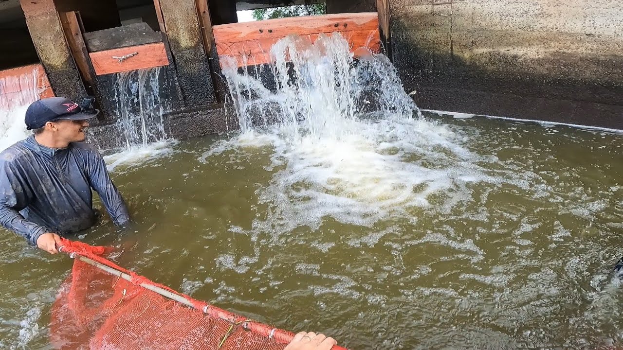 FALTOU ESPAÇO NO PENEIRÃO PRA TUDO QUE TINHA NESSE BUEIRO