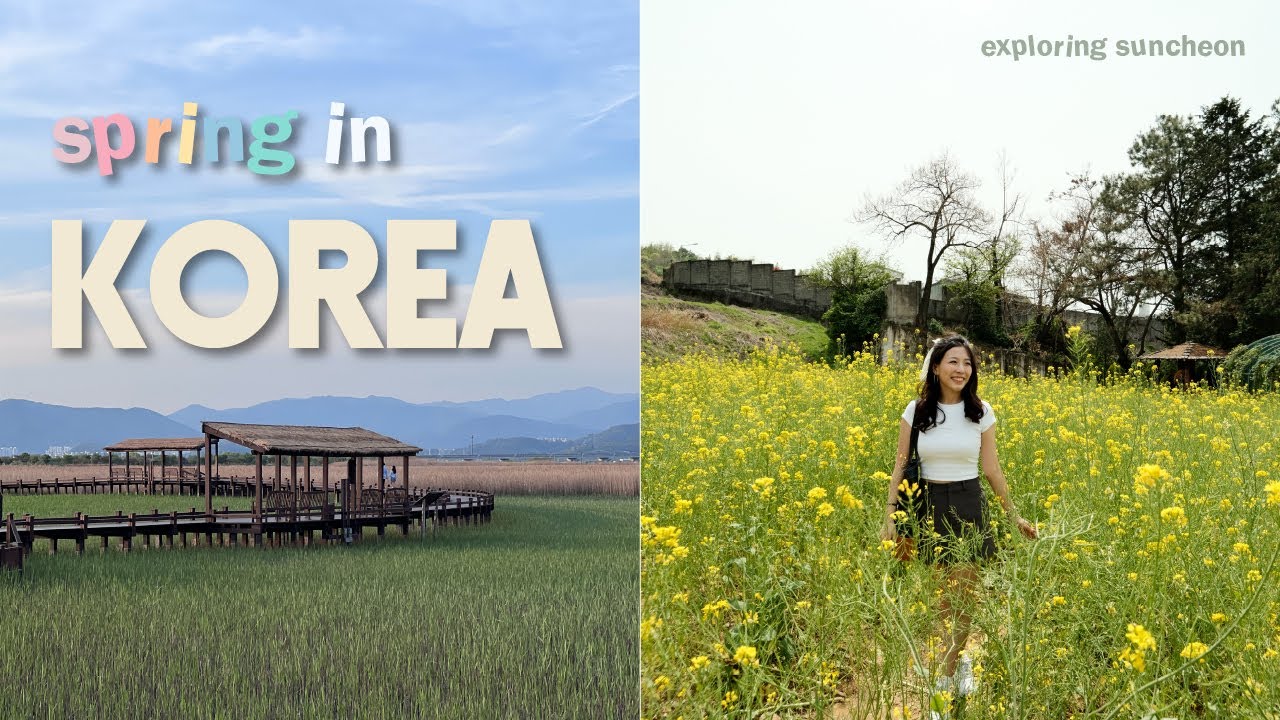Visiting a K Drama Filming Set outside of Seoul! Spring in Korea, Suncheon Bay Wetland Reserve 🇰🇷