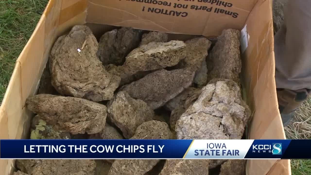 Cow chip tossing secrets at the Iowa State Fair