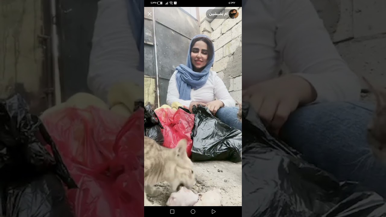 زنيبه اجت من السوك وجابت لفات وبيبسي   للفروخ  ورؤس البزازين 