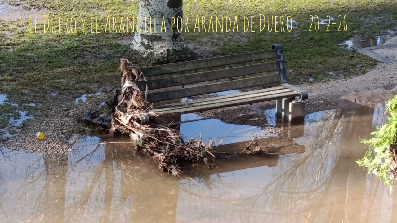 Caucess río Duero y Arandilla 20-2-2026