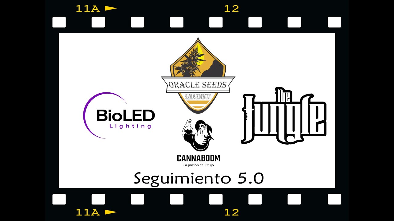 Capitulo 1 Seguimiento 5.0 (Oracle Seeds + Cannaboom + Grow The Jungle + BioLed Lighting)