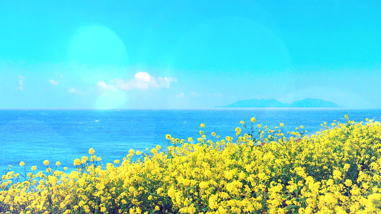 Jeju Island In Spring | Relaxing Music