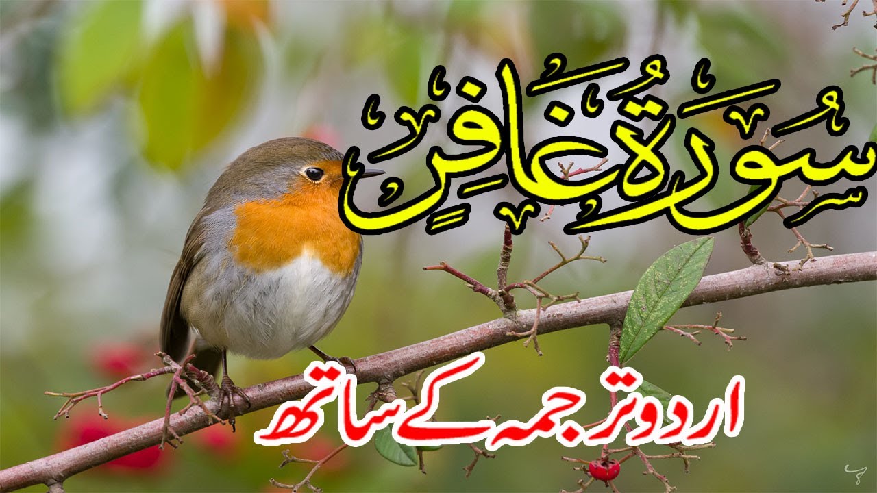 Surah Ghafir Urdu Tarjuma K Sath | Surah Momin With Urdu Translation | Qari Muhammad Shoaibn ||