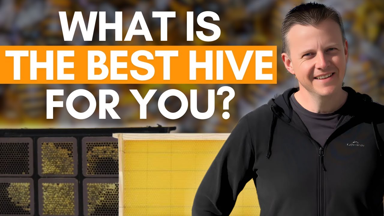 HiveKeepers Micro Honey Harvester Vs. Flow Hive System: Key Differences