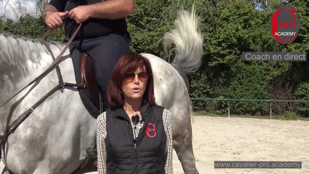 Le dos du cheval, l'importance d'&ecirc;tre coach&eacute;