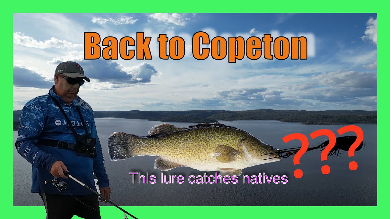 Back to Copeton - The best lure to search for natives!