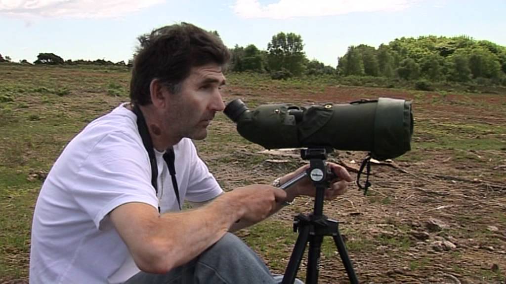 TWITCHERS for BBC